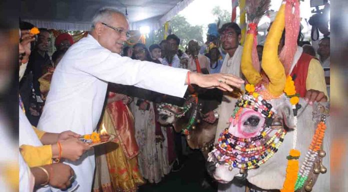 मुख्यमंत्री निवास में आज ‘पोरा-तीजा‘ तिहार मनेगा,नांदिया-बैला के साथ सेल्फी के लिए बना जोन bhupesh baghel
