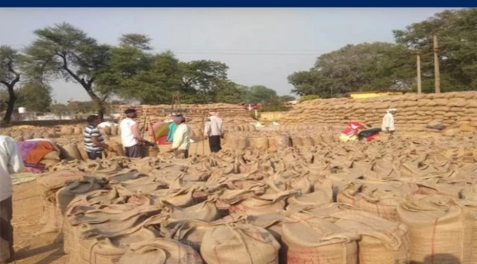 छत्तीसगढ़ के सभी धान खरीदी केन्द्रों में होगा चबूतरा का निर्माण