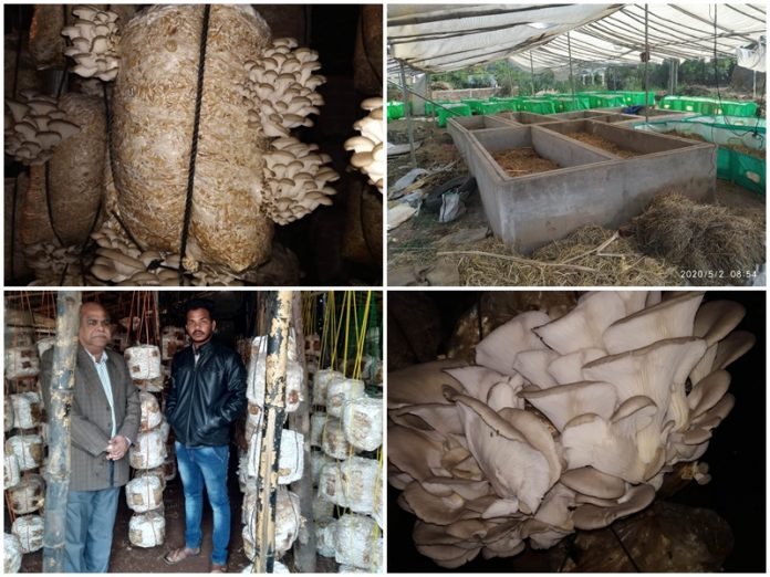 SOURABH JANGHEL SOURABH JANGHEL