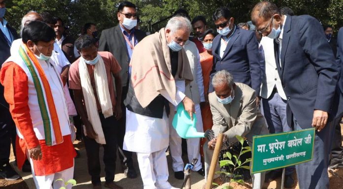 : चाय की खेती है फायदेमंद इसे बढ़ावा दें- भूपेश बघेल