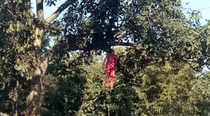 महिला ने पेड़ पर रस्सी लगाकर आत्महत्या की