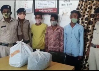 7 किलों गांजा के साथ 3 आरोपी गिरफ्तार