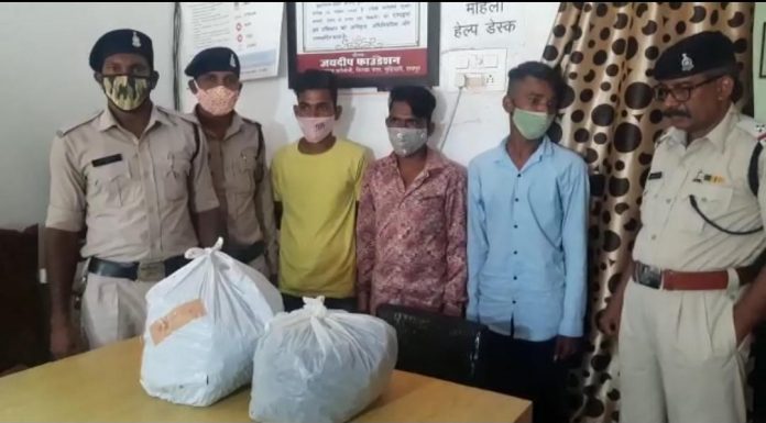 7 किलों गांजा के साथ 3 आरोपी गिरफ्तार