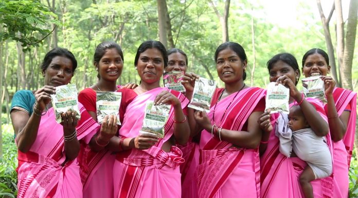 मुख्यमंत्री भूपेश बघेल ने राज्य में चाय और काफी की खेती को बढ़ावा देने छत्तीसगढ़ टी काफी बोर्ड के गठन का लिया निर्णय, कृषि मंत्री की अध्यक्षता में छत्तीसगढ़ टी कॉफी बोर्ड का किया जाएगा गठन