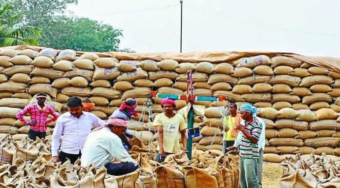 राज्य में धान खरीदी का आंकड़ा 52 लाख मीट्रिक टन से पार