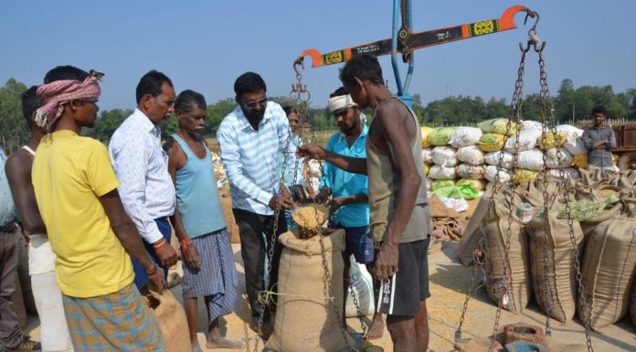 पूजा-पाठ के साथ आज से धान खरीदी हुई शुरु