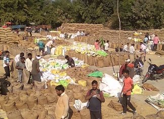 राज्य में हो चुकी 58.38 लाख मीटरिक टन धान की खरीदी : प्रदेश में 14.96 लाख से अधिक किसानों ने बेचा धान