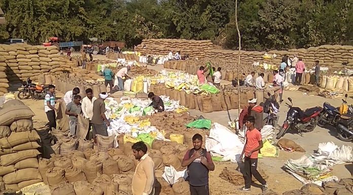 राज्य में हो चुकी 58.38 लाख मीटरिक टन धान की खरीदी : प्रदेश में 14.96 लाख से अधिक किसानों ने बेचा धान