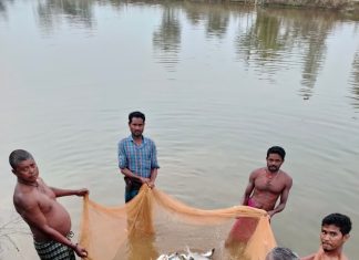 मत्स्य पालकों को स्थानीय हेचरियों से मिल रहे रियायती मूल्य पर मत्स्य बीज