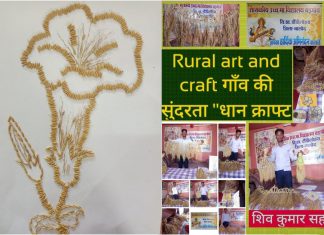 छत्तीसगढ़ के धान क्रॉफ्ट प्रोजेक्ट को मिली सराहना