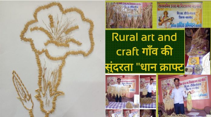 छत्तीसगढ़ के धान क्रॉफ्ट प्रोजेक्ट को मिली सराहना