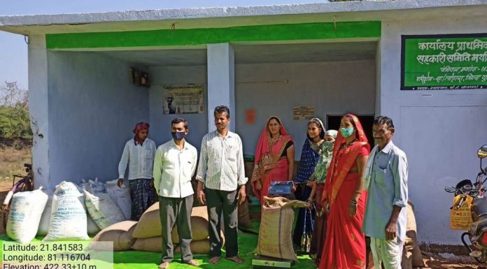 राज्य सरकार का किसानों के हित में अहम् फैसला कोदो, कुटकी और रागी की खरीदी अब 15 फरवरी तक
