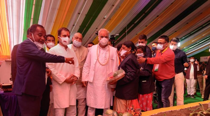 सांसद राहुल गांधी को लुभाया पांच रंगों की गोभी एवं बस्तर की कॉफी ने