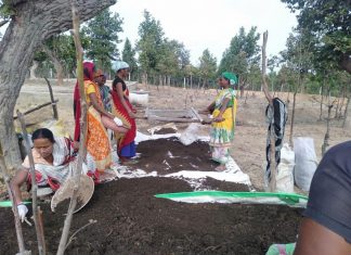 ‘रूरल इंडस्ट्रियल पार्क’ के रूप में विकसित हो रहे छत्तीसगढ़ के गौठान