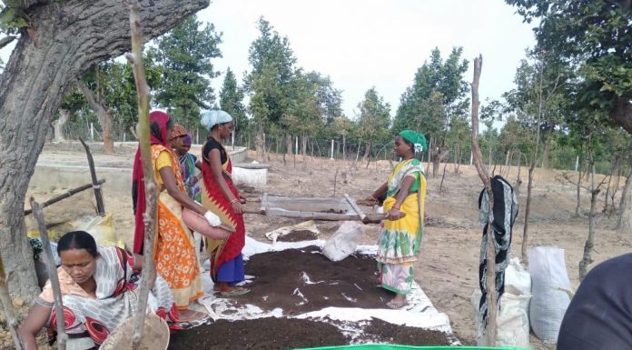 ‘रूरल इंडस्ट्रियल पार्क’ के रूप में विकसित हो रहे छत्तीसगढ़ के गौठान