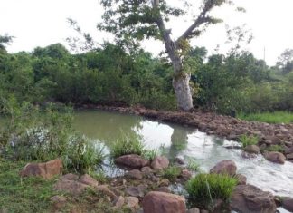 नरवा विकास से कुंओं और हैण्ड पम्प का सुधरता जल स्तर