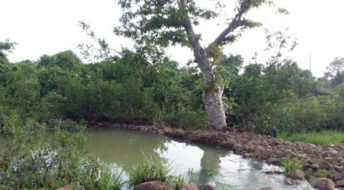 नरवा विकास से कुंओं और हैण्ड पम्प का सुधरता जल स्तर