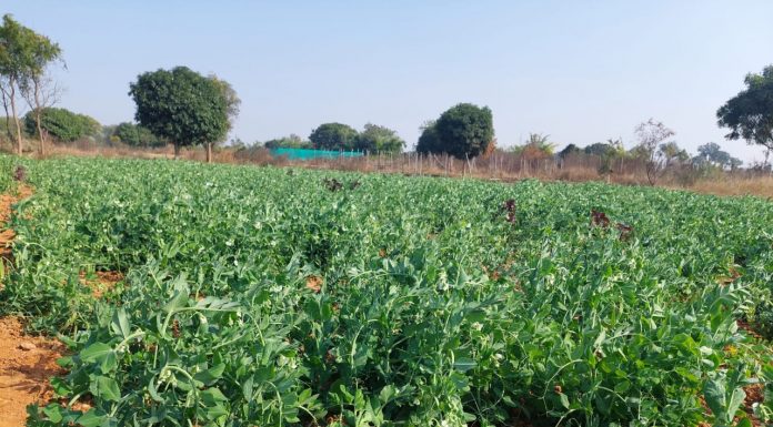 गढ़बो नवा छत्तीसगढ़’ में प्रदेश के युवाओं और महिलाओं की होगी महत्वपूर्ण भूमिका : मुख्यमंत्री भूपेश बघेल