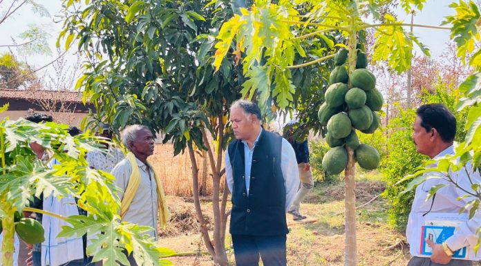 अपने फलोद्यान और सब्जी बाड़ी में कलेक्टर को देखकर किसान हुए प्रसन्न