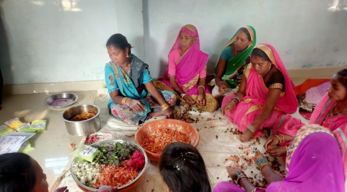रायपुर : समूह की महिलाएं पालक, लालभाजी, हल्दी. जड़ी-बुटी और फूलों से बना रही हर्बल गुलाल