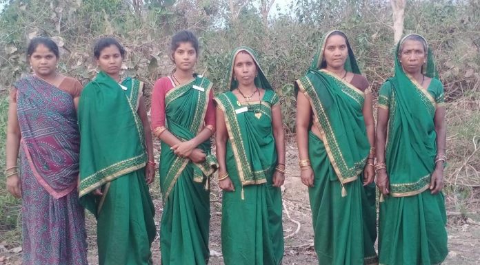 जंगल को आग की लपटों से बचाने महिलाओं ने पेश की मिसाल