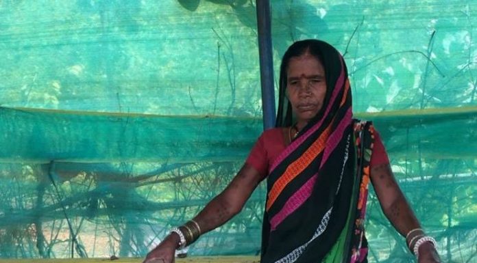 गौठान से महिलाओं की जिंदगी में आई खुशी