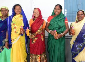 वर्मी कम्पोस्ट की बिक्री से समूह की महिलाओं को 2 लाख 60 हजार रूपए की हुई आमदनी