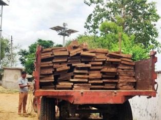 लगभग सवा लाख रूपए मूल्य के 114 नग सागौन चिरान जप्त