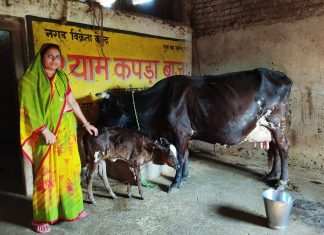 गौ पालन से गृहिणी रुक्मणी पटेल बनी आर्थिक स्वावलंबन की मिसाल