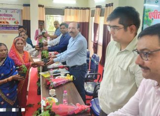 रायपुर बनेगा पपीता उत्पादक जिला, आईआईएचआर ने तैयार की पपीता की उन्नत प्रजाति अर्का प्रभात