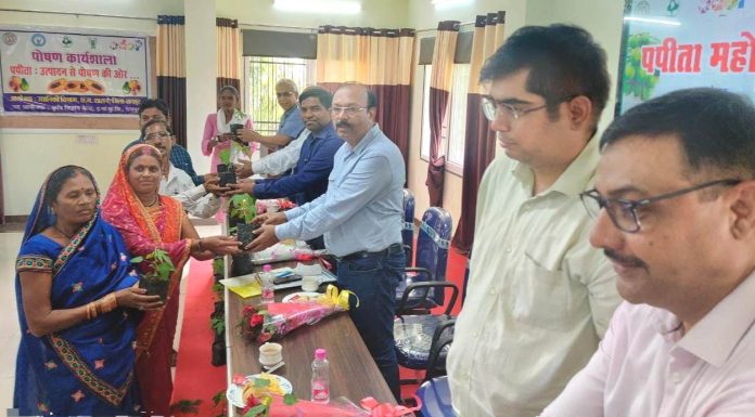 रायपुर बनेगा पपीता उत्पादक जिला, आईआईएचआर ने तैयार की पपीता की उन्नत प्रजाति अर्का प्रभात