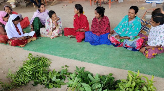 करलखा और कोचवाही के गौठान में गौमूत्र से हो रही है, फसलों की संजीवनी ब्रम्हास्त्र तैयार