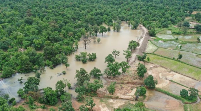 नरवा विकास : वनांचल में वनवासियों सहित क्षेत्रवासियों को पेयजल सिंचाई तथा निस्तारी आदि सुविधाओं का मिल रहा भरपूर लाभ