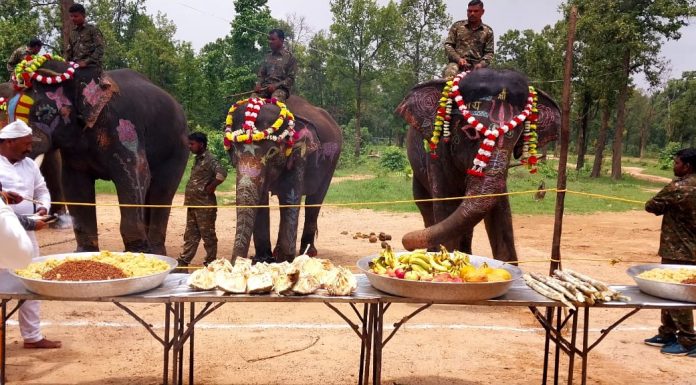 विश्व हाथी दिवस कार्यक्रम सम्पन्न