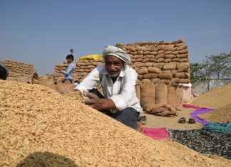 रायपुर : किसानों की खुशियों से छलका धान के कटोरे के प्रदेश का सुख