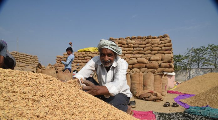 रायपुर : किसानों की खुशियों से छलका धान के कटोरे के प्रदेश का सुख