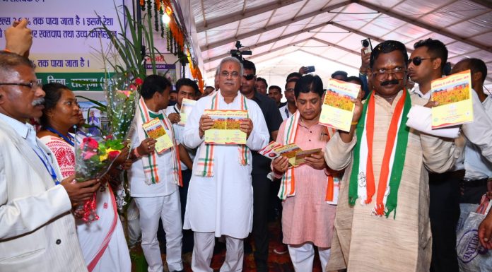 मुख्यमंत्री भूपेश बघेल विश्व आदिवासी दिवस पर सरगुजा जिले के सीतापुर में आय़ोजित कार्यक्रम में हुए शामिल