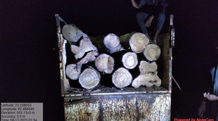 वन विभाग टीम की कार्यवाही में भारी मात्रा में सागौन लकड़ी और वाहन जप्त