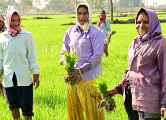राजीव गांधी किसान न्याय योजना से समृद्ध होती खेती-किसानी