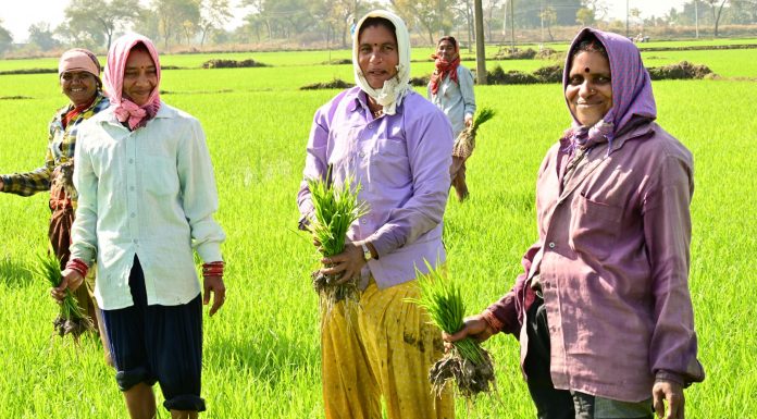 राजीव गांधी किसान न्याय योजना से समृद्ध होती खेती-किसानी