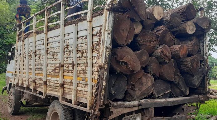 वन विभाग की कार्रवाई में अवैध लकड़ियां और गाड़ी जप्त