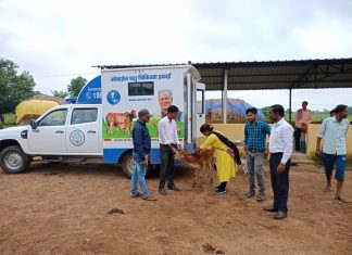 रायपुर जिले में चार मोबाईल वेटनरी यूनिट से गौवंश का हो रहा ईलाज