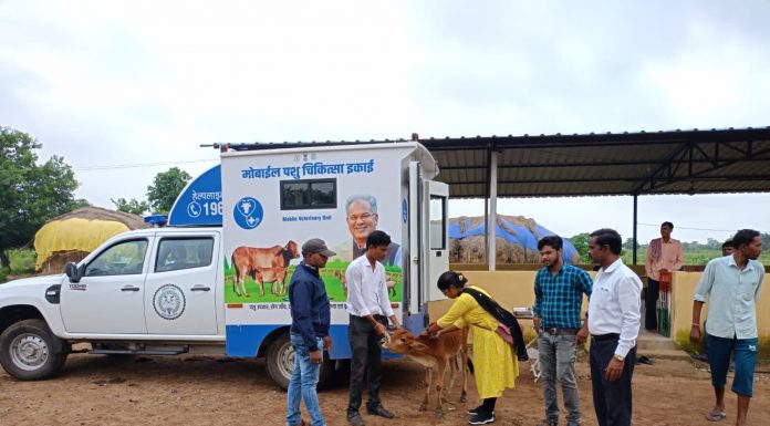 रायपुर जिले में चार मोबाईल वेटनरी यूनिट से गौवंश का हो रहा ईलाज