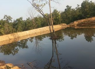 कैम्पा: वर्ष 2022-23 के अंतर्गत 300 करोड़ रूपए से 29 लाख से अधिक संरचनाओं का निर्माण जारी