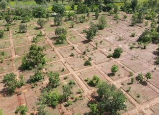 नरवा विकास : वन क्षेत्रों में 30-40 मॉडल के लगभग 2 लाख संरचनाओं का हो रहा निर्माण