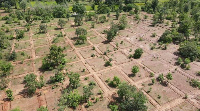 नरवा विकास : वन क्षेत्रों में 30-40 मॉडल के लगभग 2 लाख संरचनाओं का हो रहा निर्माण