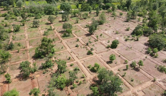 Narva Development: About 2 lakh structures of 30-40 models are being constructed in forest areas.