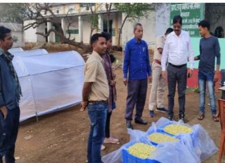 छत्तीसगढ़ के महुआ की महक पहुंचने लगी देश-विदेश तक , फूड ग्रेड महुआ फूल के संग्रहण से मिल रहा अतिरिक्त मुनाफा और रोजगार