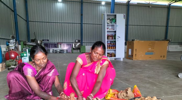 रीपा में महिलाएं तैयार कर रही आकर्षक गणेश मूर्ति