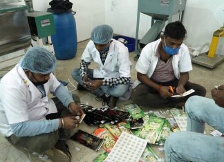 सीताफल का संग्राहकों को उचित मूल्य दिलाने वन विभाग की प्रभावी पहल